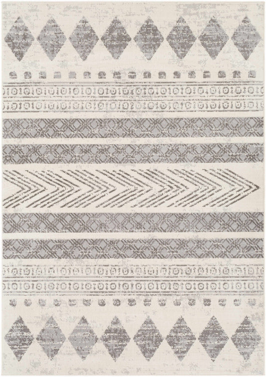 Pisa PSS-2306 Machine Woven Rug