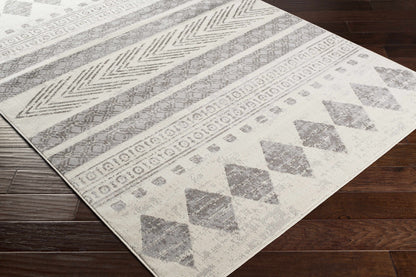 Pisa PSS-2306 Machine Woven Rug