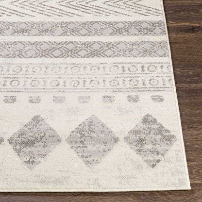 Pisa PSS-2306 Machine Woven Rug
