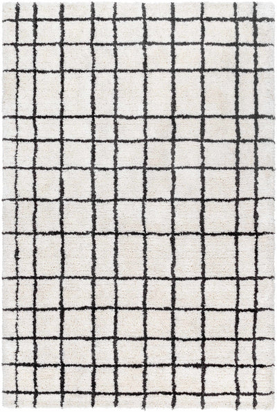 White Hand Tufted 100% Microfiber Modern Rectangle Handmade rug, Indoor use only, no fringe, non-washable.