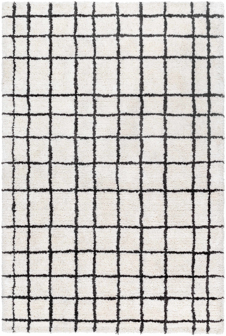 White Hand Tufted 100% Microfiber Modern Rectangle Handmade rug, Indoor use only, no fringe, non-washable.