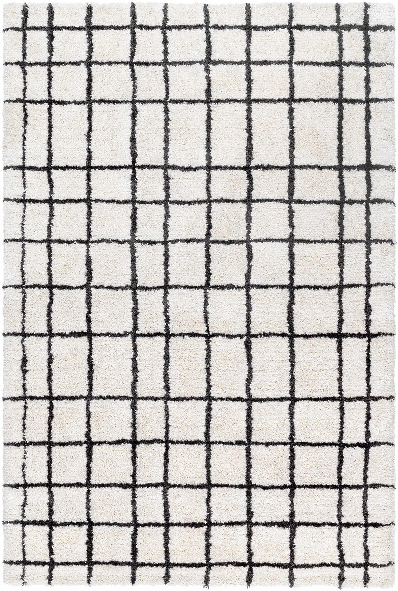White Hand Tufted 100% Microfiber Modern Rectangle Handmade rug, Indoor use only, no fringe, non-washable.
