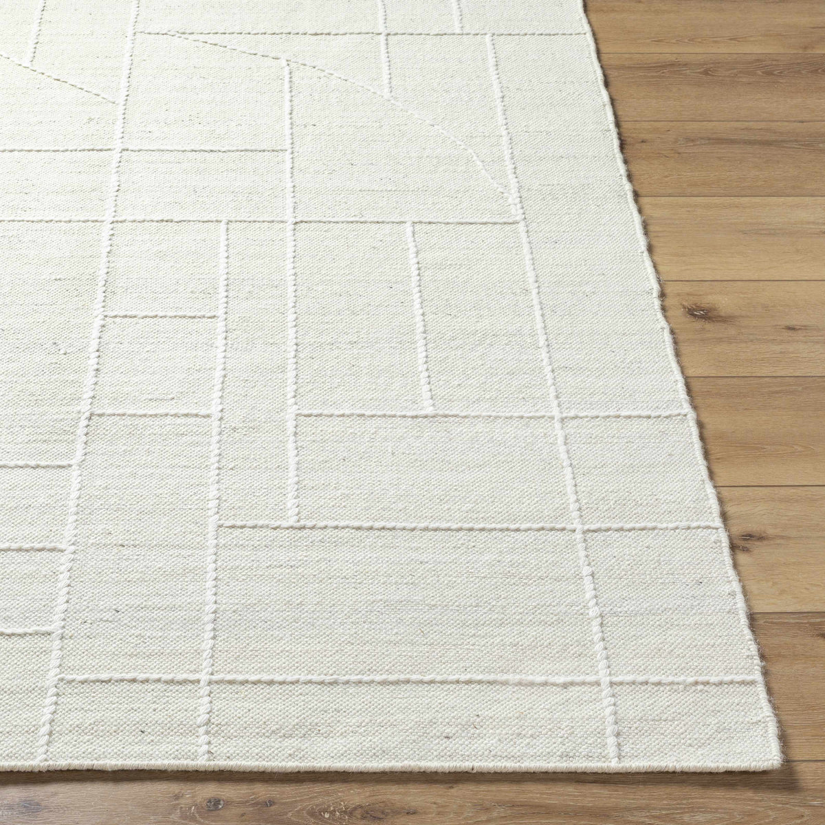 Marcela MCL-2306 Hand Woven Rug