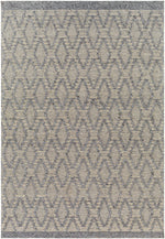 Napoli NPO-2314 Hand Woven Rug