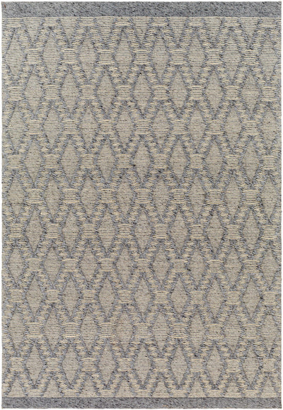 Gray Hand Woven 70% Recycled PET Yarn, 30% Wool Global Rectangle Handmade rug, Indoor use only, no fringe, non-washable. runner also available