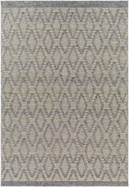 Napoli NPO-2314 Hand Woven Rug