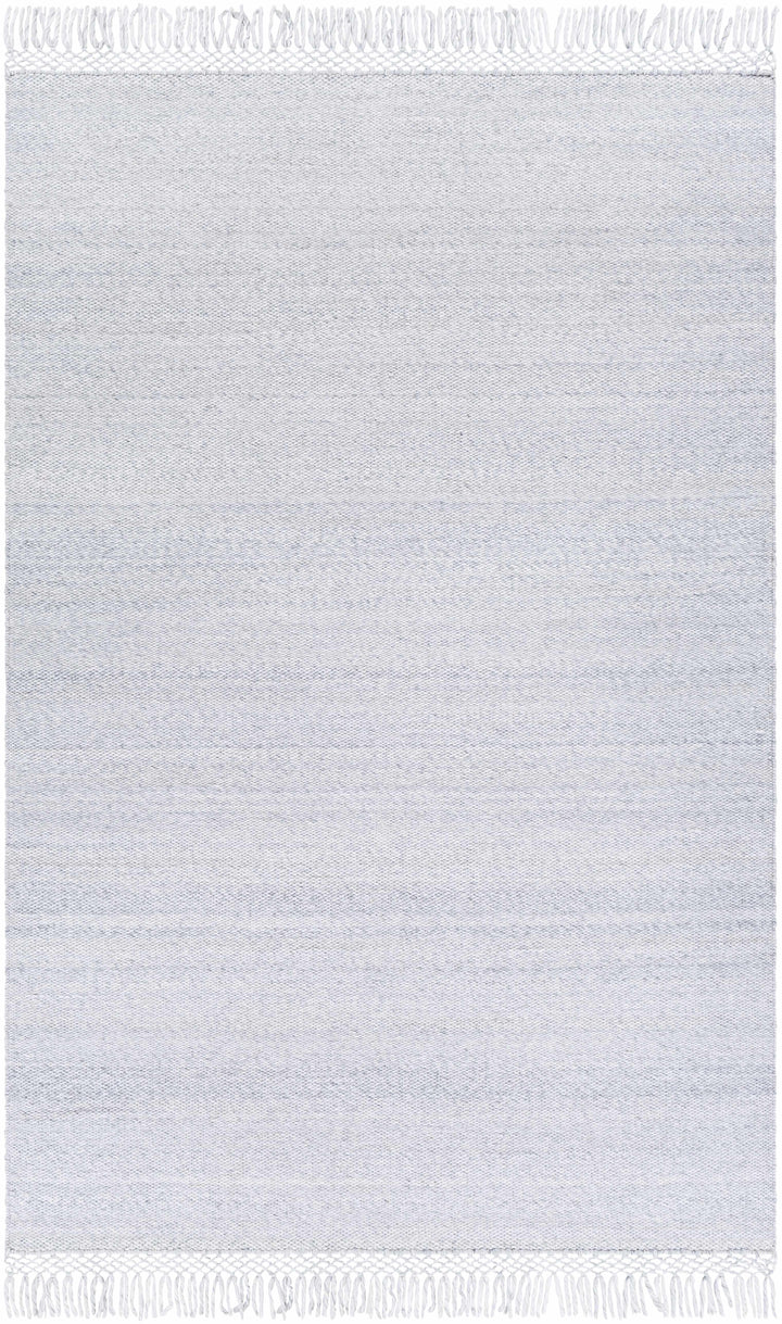 Light Slate Hand Woven 100% Recycled PET Yarn Modern Rectangle Handmade rug, Indoor use only, has fringe, non-washable. runner also available