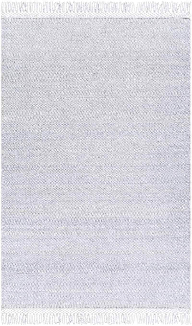Light Slate Hand Woven 100% Recycled PET Yarn Modern Rectangle Handmade rug, Indoor use only, has fringe, non-washable. runner also available