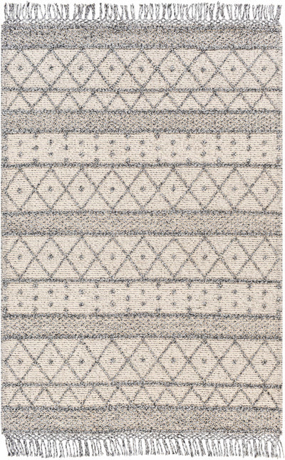 Slate Hand Woven 100% Recycled PET Yarn Global Rectangle Handmade rug, Indoor use only, has fringe, non-washable.