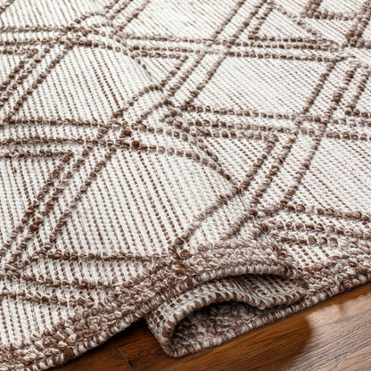 Napoli NPO-2308 Hand Woven Rug