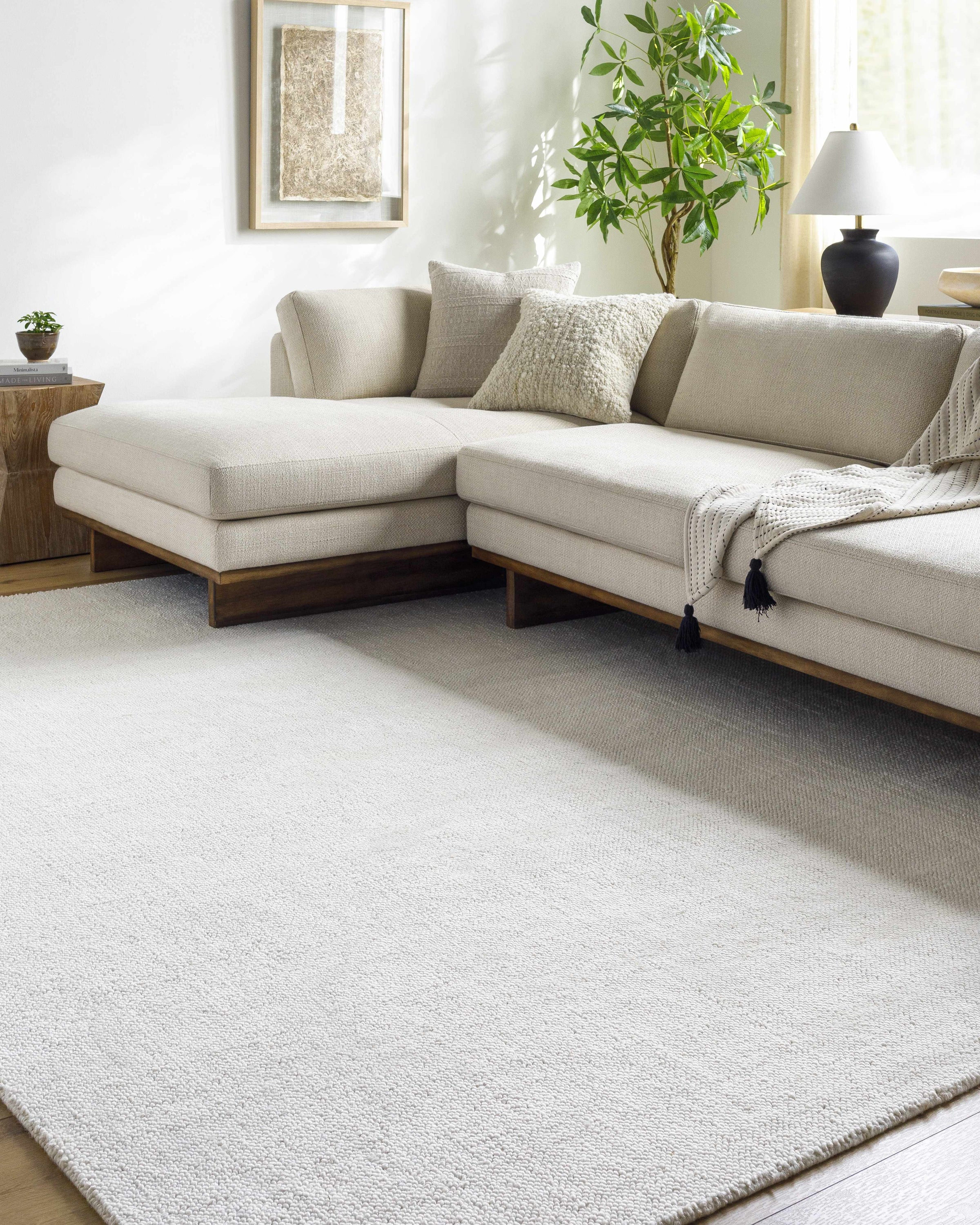 Salome SME-2300 Hand Loomed Rug