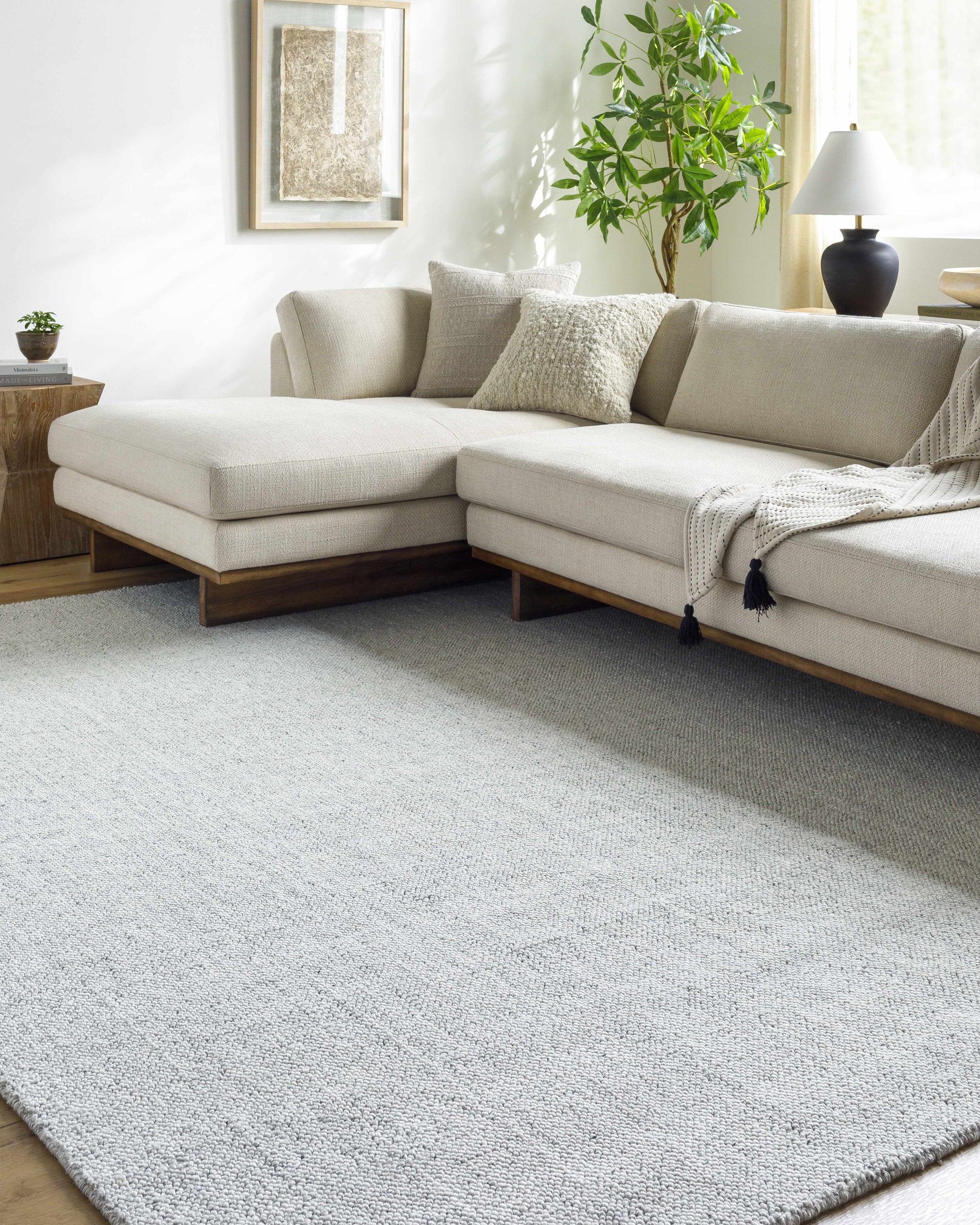 Salome SME-2301 Hand Loomed Rug