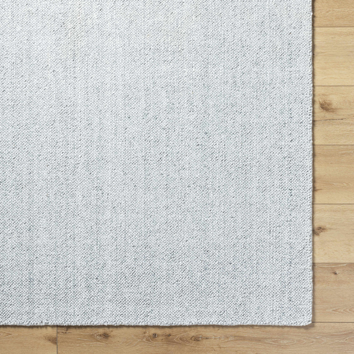 Salome SME-2301 Hand Loomed Rug