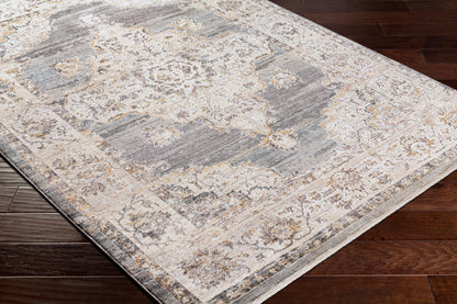 Aida AAD-2300 9' x 12' Machine Woven Area Rug