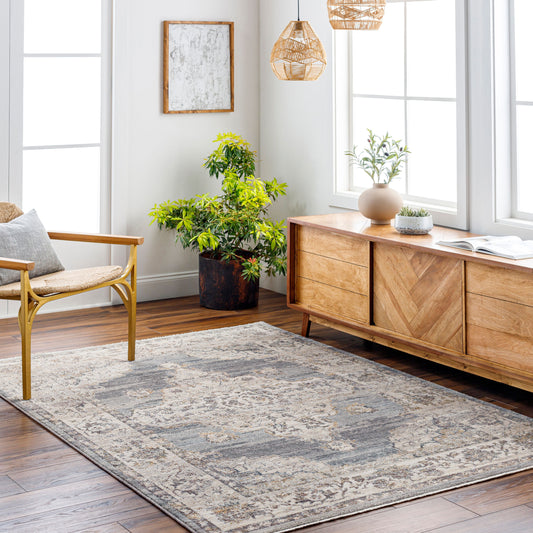 Aida AAD-2300 9' x 12' Machine Woven Area Rug