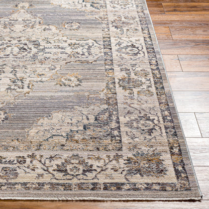Aida AAD-2301 5' x 7' Machine Woven Area Rug