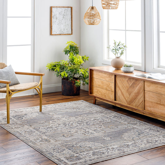 Aida AAD-2301 5' x 7' Machine Woven Area Rug