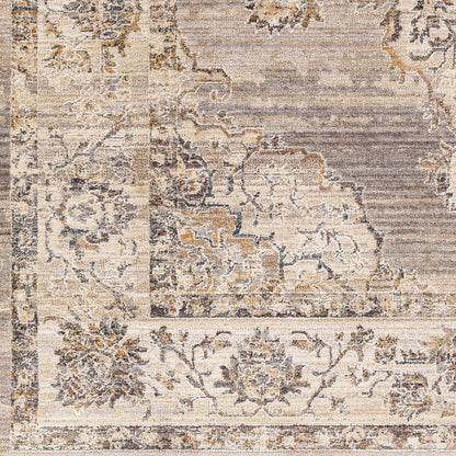 Aida AAD-2301 9' x 12' Machine Woven Area Rug