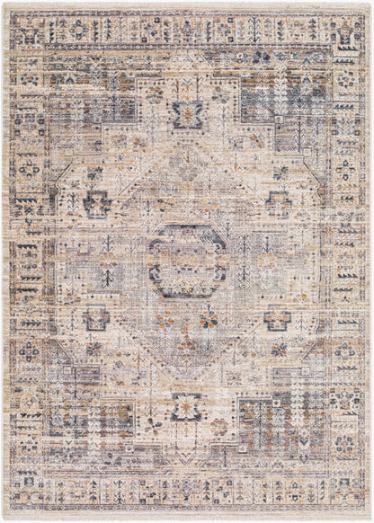 Aida AAD-2307 5' x 7' Machine Woven Area Rug