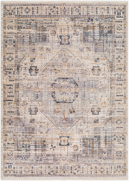 Aida AAD-2307 5' x 7' Machine Woven Area Rug