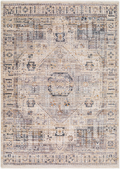 Aida AAD-2307 Machine Woven Rug