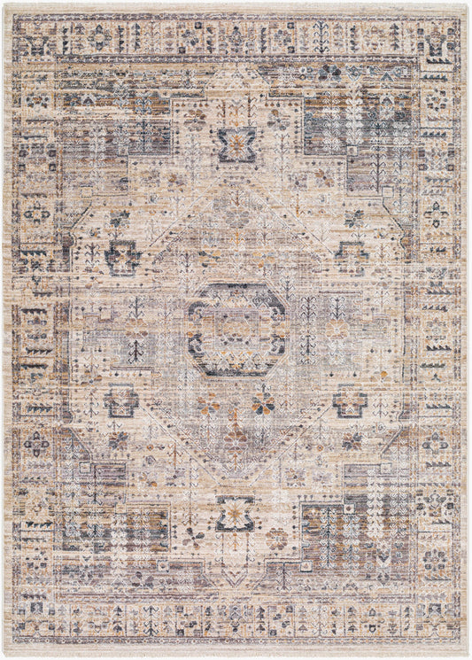 Aida AAD-2307 Machine Woven Rug