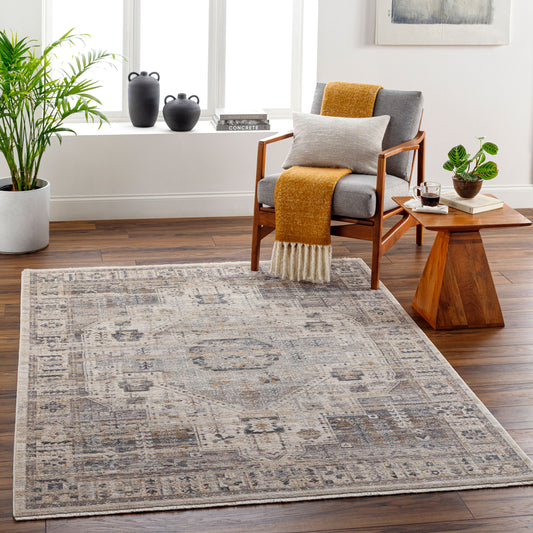 Aida AAD-2307 5' x 7' Machine Woven Area Rug