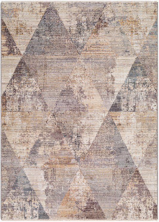 Aida AAD-2308 5' x 7' Machine Woven Area Rug
