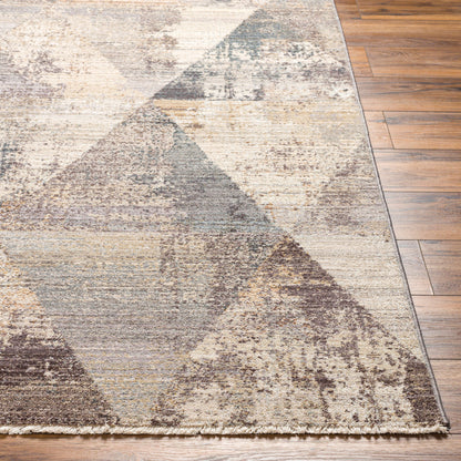 Aida AAD-2308 9' x 12' Machine Woven Area Rug