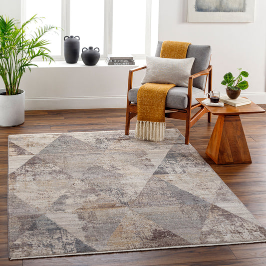 Aida AAD-2308 9' x 12' Machine Woven Area Rug