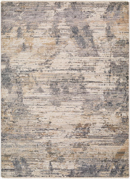 Aida AAD-2309 5' x 7' Machine Woven Area Rug