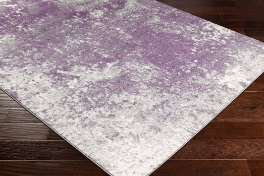 Aberdine ABE-8026 2' x 3' Machine Woven Accent Rug