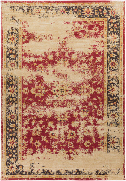 Alfombra decorativa tejida a máquina Arabesque ABS-3034 de 2' x 3'