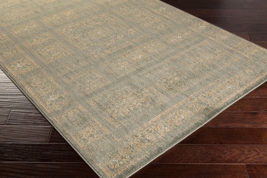 Alfombra tejida a máquina Arabesque ABS-3044 de 8' x 10'