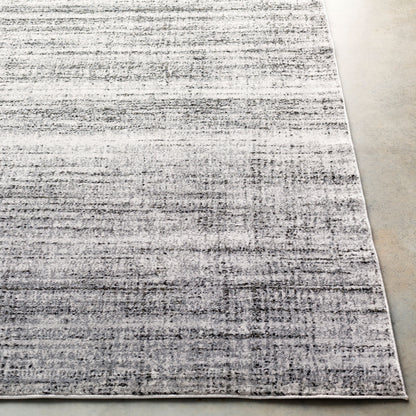 Alfombra decorativa tejida a máquina Amadeo ADO-1007 de 2' x 3'