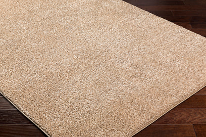 Alfombra AFB-2300 Alfombra decorativa lavable a máquina de 3' x 5'