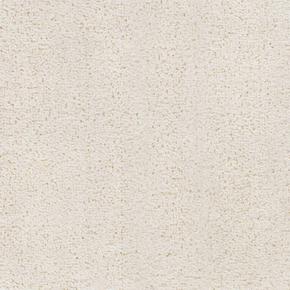 Alfombra AFB-2301 2' x 3' Machine Woven Washable Accent Rug