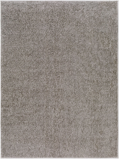 Alfombra AFB-2302 Alfombra decorativa lavable a máquina de 2'2" x 3'9"