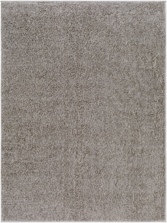 Alfombra AFB-2302 Alfombra decorativa lavable a máquina de 2'2" x 3'9"