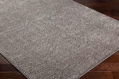 Alfombra AFB-2302 Alfombra de área lavable tejida a máquina de 8' x 10'