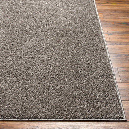 Alfombra AFB-2302 Alfombra de área lavable tejida a máquina de 6' x 9'
