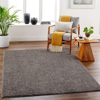 Alfombra AFB-2302 Alfombra decorativa lavable a máquina de 3' x 5'