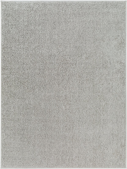 Alfombra AFB-2303 Alfombra decorativa lavable a máquina de 2' x 3'