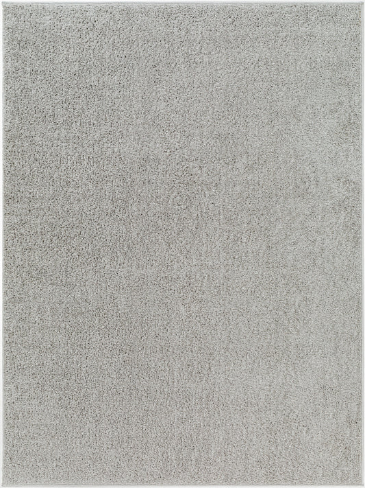 Alfombra AFB-2303 Alfombra decorativa lavable a máquina de 2' x 3'