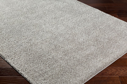 Alfombra AFB-2303 Alfombra decorativa lavable a máquina de 4' x 6'