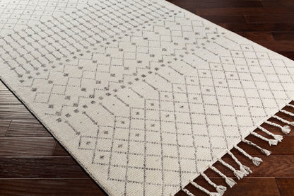Agadir AGD-1000 2' x 3' Handmade Wool Accent Rug