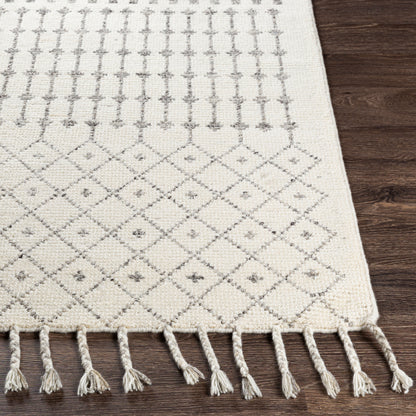 Agadir AGD-1000 2' x 3' Handmade Wool Accent Rug