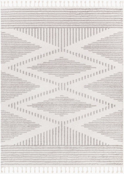 Alhambra AHB-2302 5' x 7' Machine Woven Area Rug