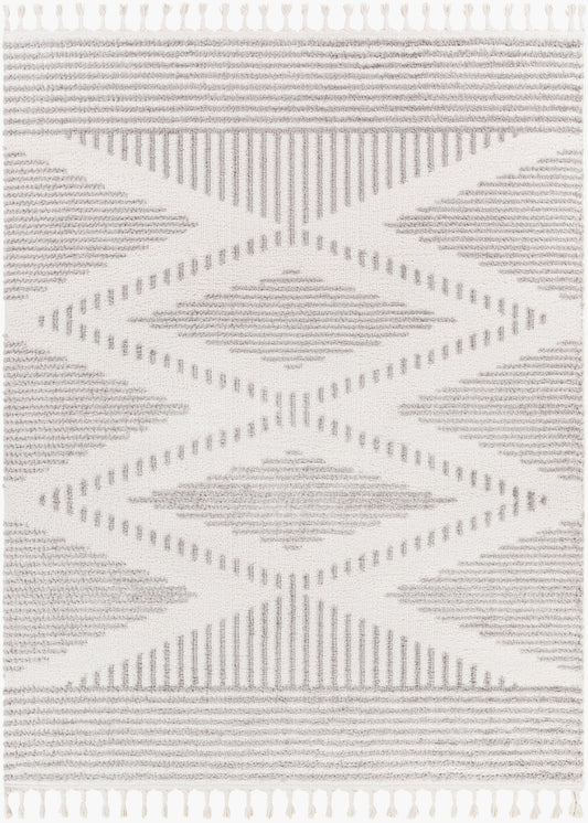 Alhambra AHB-2302 5' x 7' Machine Woven Area Rug
