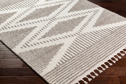 Alhambra AHB-2302 5' x 7' Machine Woven Area Rug